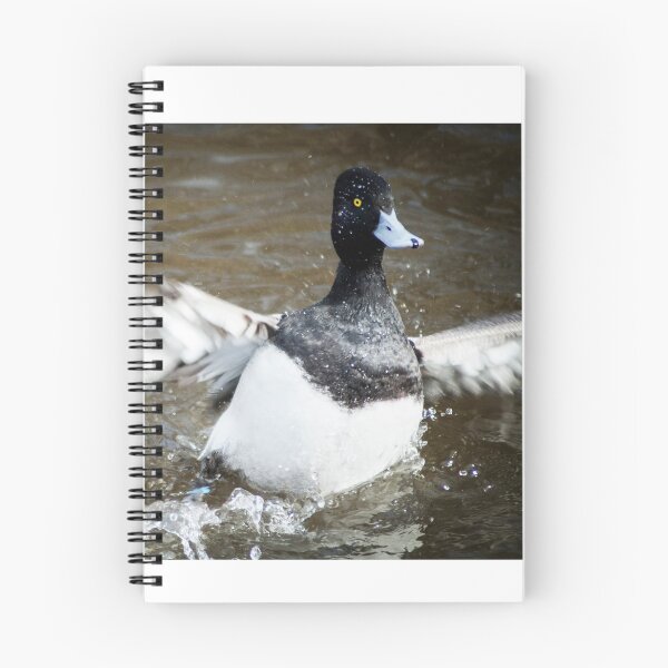 Item preview, duck with blue beak splashing  designed and sold by Sillygirl101.