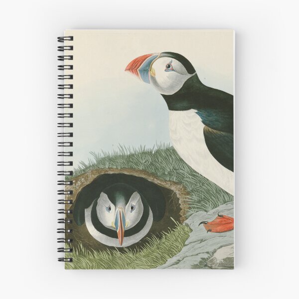 Item preview, Puffin -  John James Audubon Birds of America designed and sold by Natural History Prints.