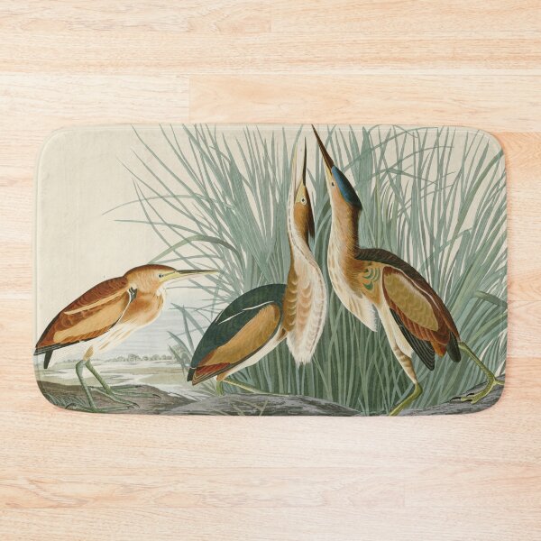 Item preview, Least Bittern - John James Audubon Birds of America designed and sold by Natural History Prints.