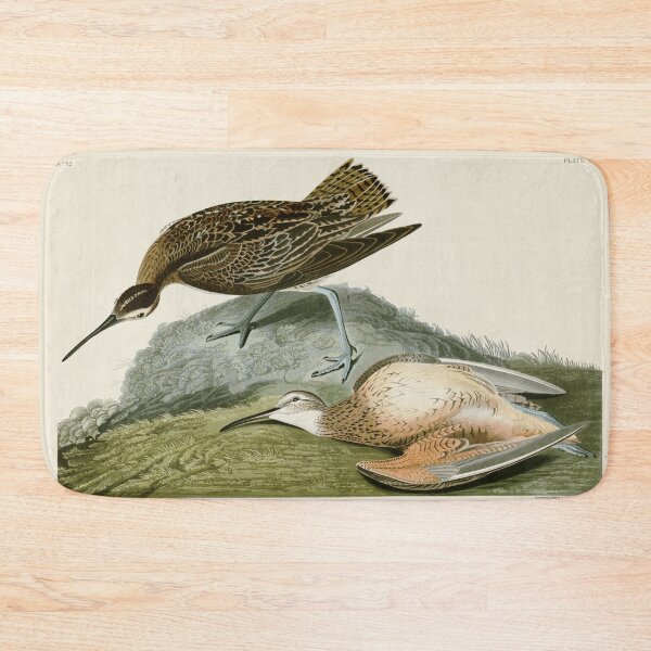 Item preview, Esquimaux Curlew - John James Audubon Birds of America designed and sold by Natural History Prints.