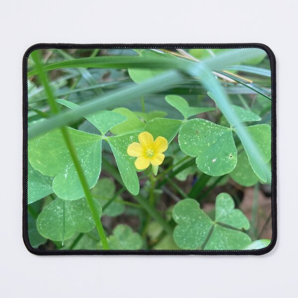Item preview, Tiny Hidden Wildflower  designed and sold by Amanda1775.