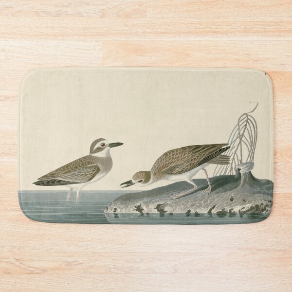 Item preview, Wilson's Plover - John James Audubon Birds of America designed and sold by Natural History Prints.