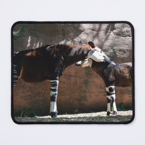Item preview, Okapi and Baby designed and sold by Dacia Tomnitz.