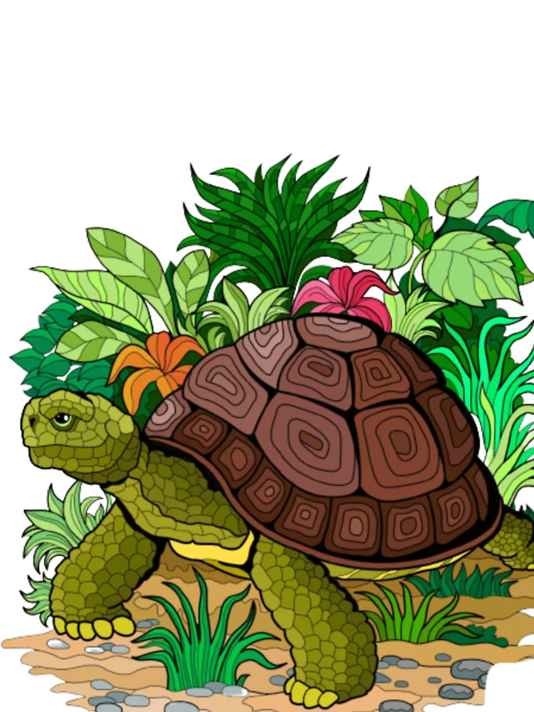 Thumbnail 4 of 4, iPhone Case, Turtle Tee designed and sold by RandaMay.