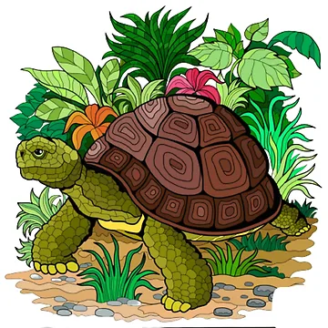 Artwork thumbnail, Turtle Tee by RandaMay