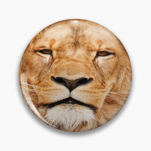 Item preview, Beautiful,African Lion print for accessories and and Decor designed and sold by SoulthreadzStudio.