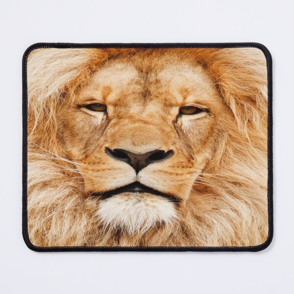 Item preview, Beautiful,African Lion print for accessories and and Decor designed and sold by SoulthreadzStudio.