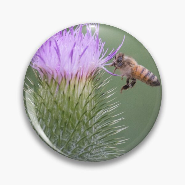 Artikelvorschau, Distel-Biene entworfen und verkauft von Jacquelie.