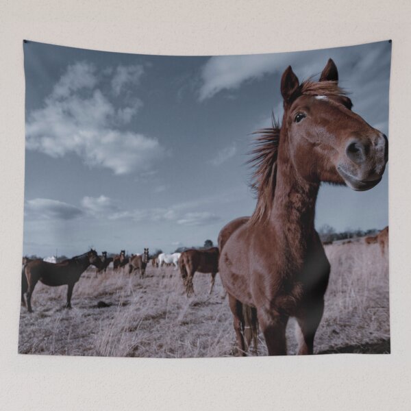 Artikelvorschau, Wilder Mustang entworfen und verkauft von SheyOfWander.