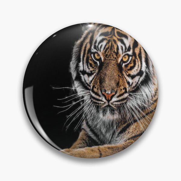 Item preview, Big cat Tiger Animal print on both accessories and home decors designed and sold by SoulthreadzStudio.