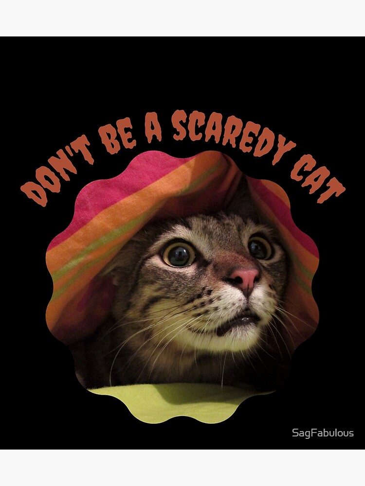 Don't Be A Scaredy Cat Poster for Sale by NotablyDesigned