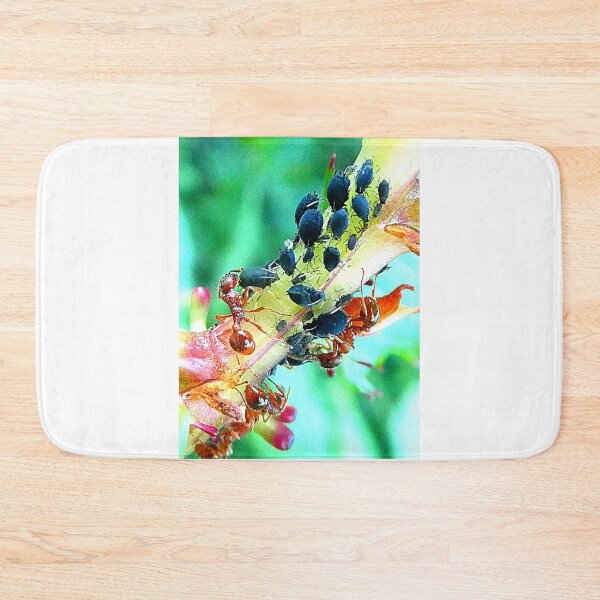 Item preview, Ants and aphids symbiotic relationship designed and sold by angel1.