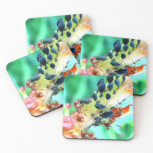 Item preview, Ants and aphids symbiotic relationship designed and sold by angel1.