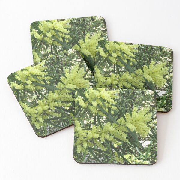 Item preview, Flowering sallow wattle designed and sold by greentiger1.