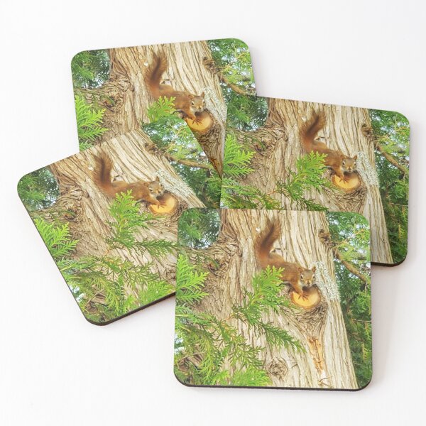 Item preview, Red Squirrel designed and sold by vette.