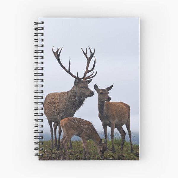 Item preview, Red Deer Family designed and sold by RONALD MACKENZIE.