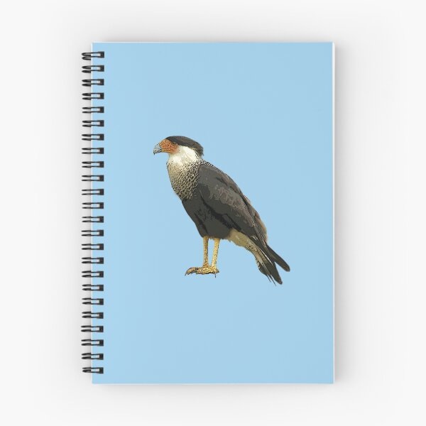 Item preview,  A Crested Caracara Color Design Painting Print designed and sold by designsasstultd.