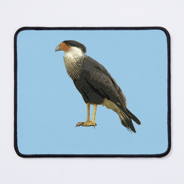 Item preview, A Crested Caracara Color Design Painting Print designed and sold by designsasstultd.
