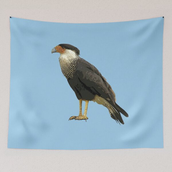 Item preview,  A Crested Caracara Color Design Painting Print designed and sold by designsasstultd.