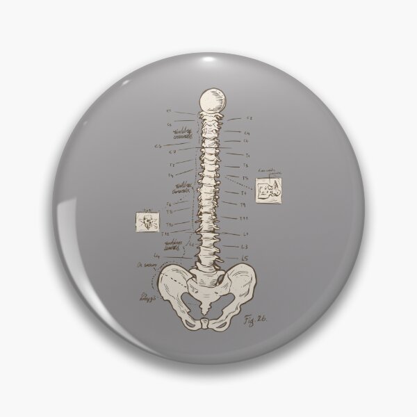 Item preview, Spine Diagram Chiropractor Art designed and sold by MrEddie10.