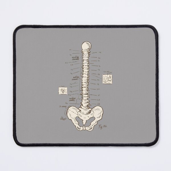 Item preview, Spine Diagram Chiropractor Art designed and sold by MrEddie10.