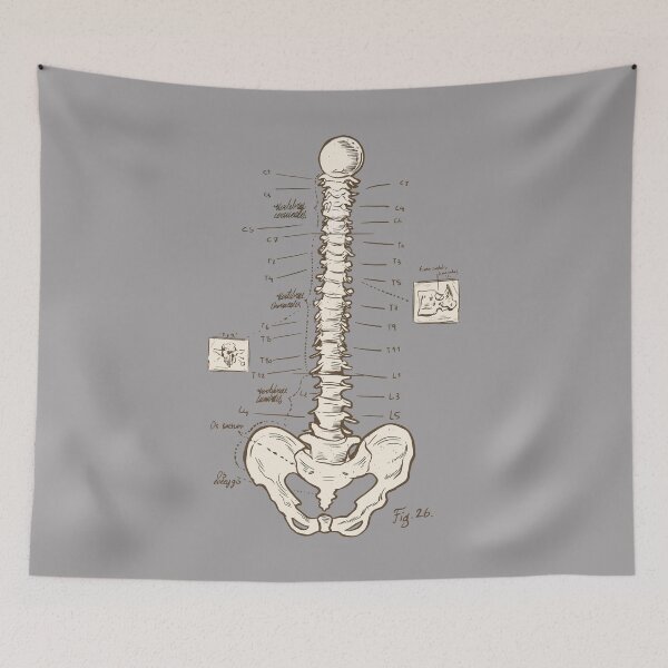 Item preview, Spine Diagram Chiropractor Art designed and sold by MrEddie10.