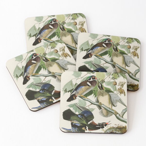 Item preview, Summer or Wood Duck - John James Audubon designed and sold by Natural History Prints.