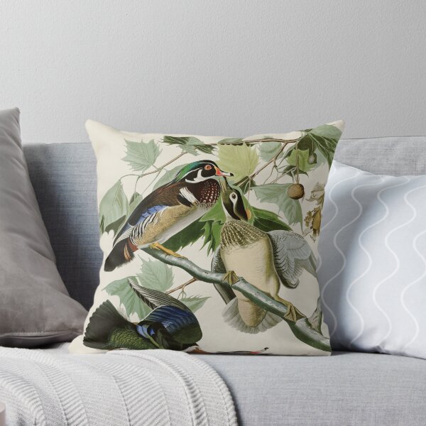 Artikelvorschau, Sommer oder Brautente - John James Audubon entworfen und verkauft von Natural History Prints.