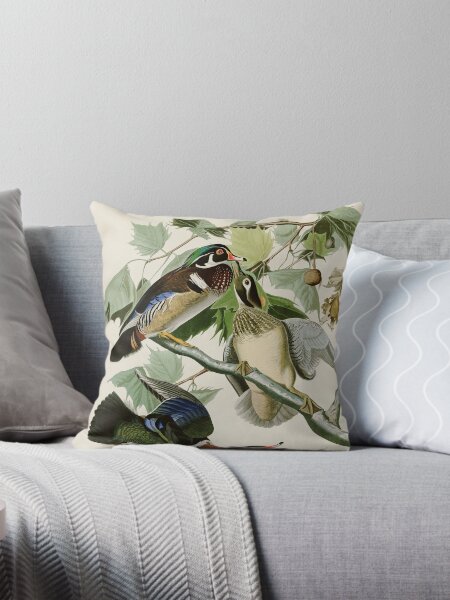 Artikel-Vorschau von Sommer oder Brautente - John James Audubon, designt und verkauft von Natural History Prints.