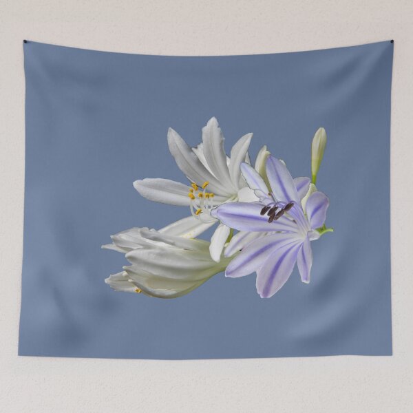 Item preview, Agapanthus designed and sold by indiafrankk.