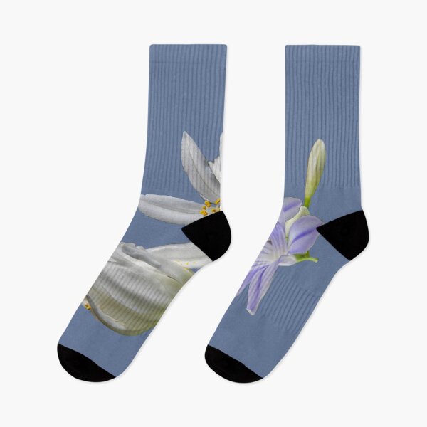 Item preview, Agapanthus designed and sold by indiafrankk.