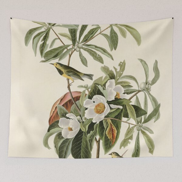 Item preview, Bachman's Warbler - John James Audubon Birds of America designed and sold by Natural History Prints.