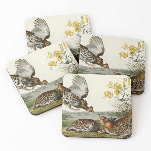 Item preview, Pinnated Grouse - John James Audubon Birds of America designed and sold by Natural History Prints.