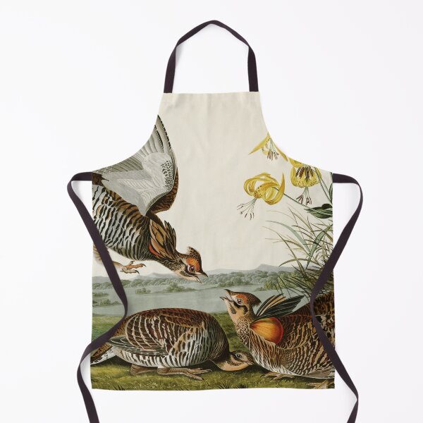 Item preview, Pinnated Grouse - John James Audubon Birds of America designed and sold by Natural History Prints.