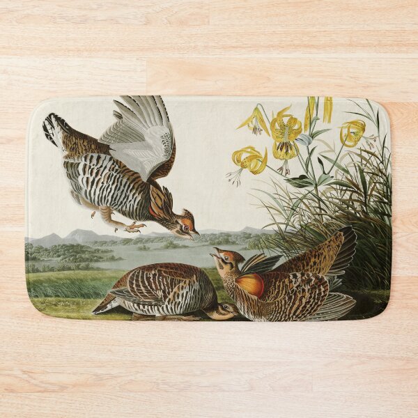 Item preview, Pinnated Grouse - John James Audubon Birds of America designed and sold by Natural History Prints.