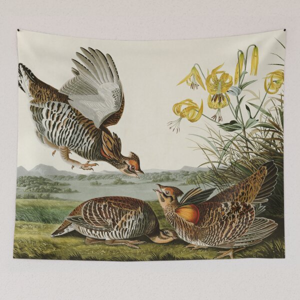 Item preview, Pinnated Grouse - John James Audubon Birds of America designed and sold by Natural History Prints.