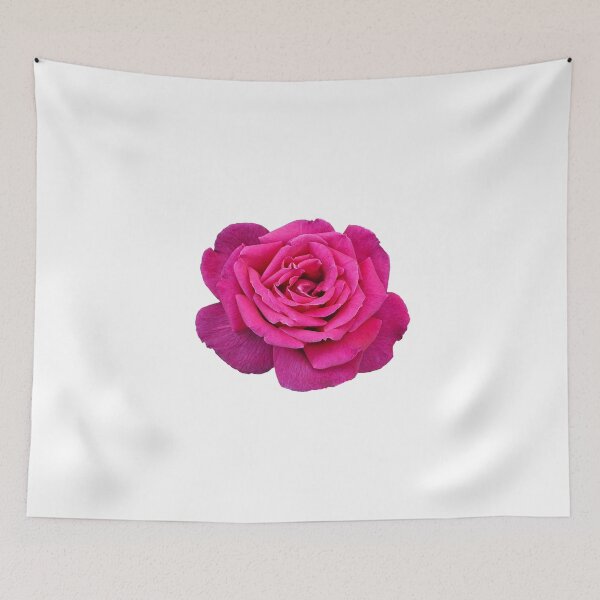 Item preview, One pink rose designed and sold by perlphoto.