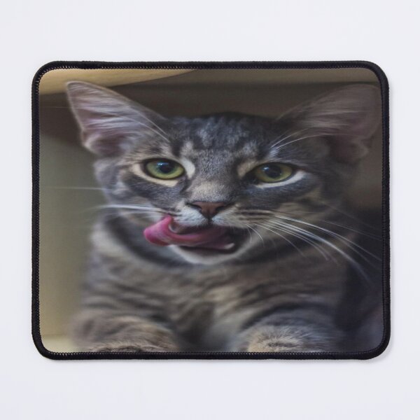 Item preview, Cheeky,funny cat expression  designed and sold by SoulthreadzStudio.