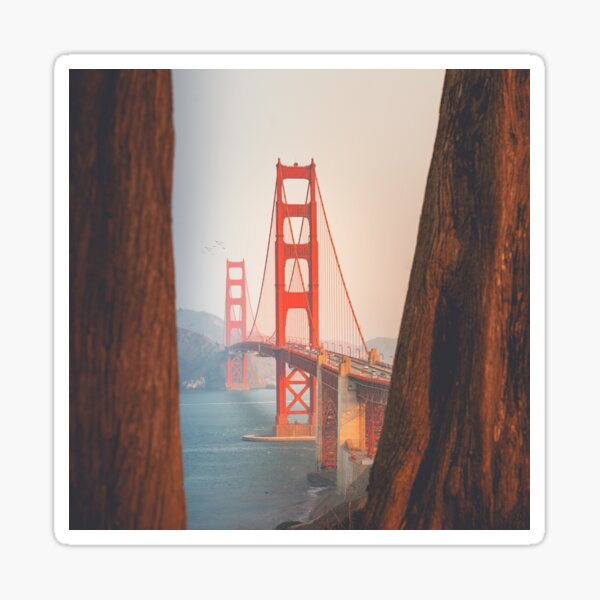 Item preview, Golden Gate Bridge From The Trees designed and sold by Taceo10.