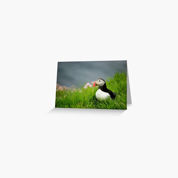 The Puffin at Sumburgh Greeting Card