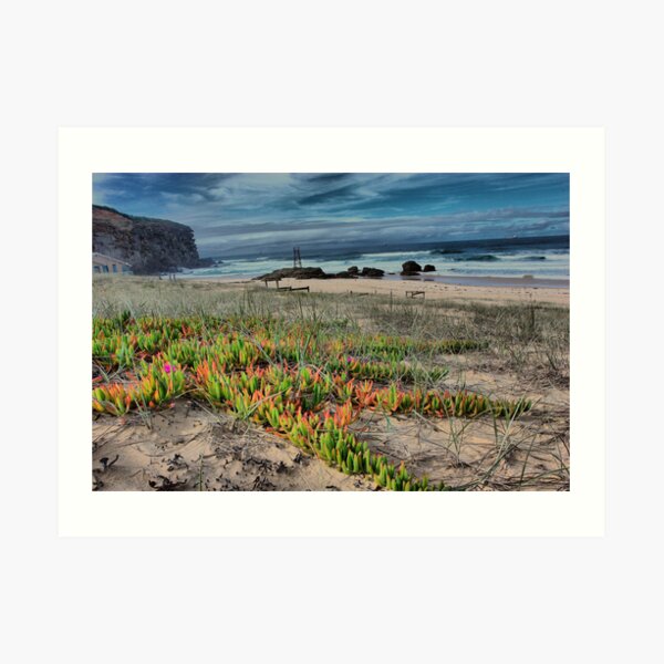 Redhead Beach NSW Australia Art Print