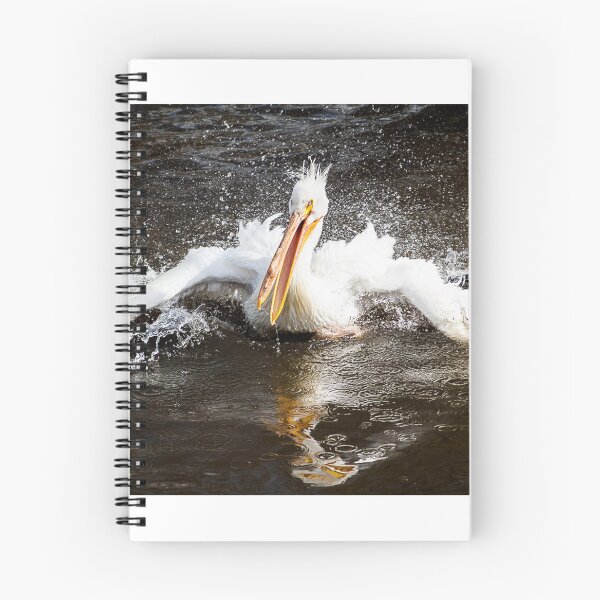 Item preview, white pelican splashing in water designed and sold by Sillygirl101.