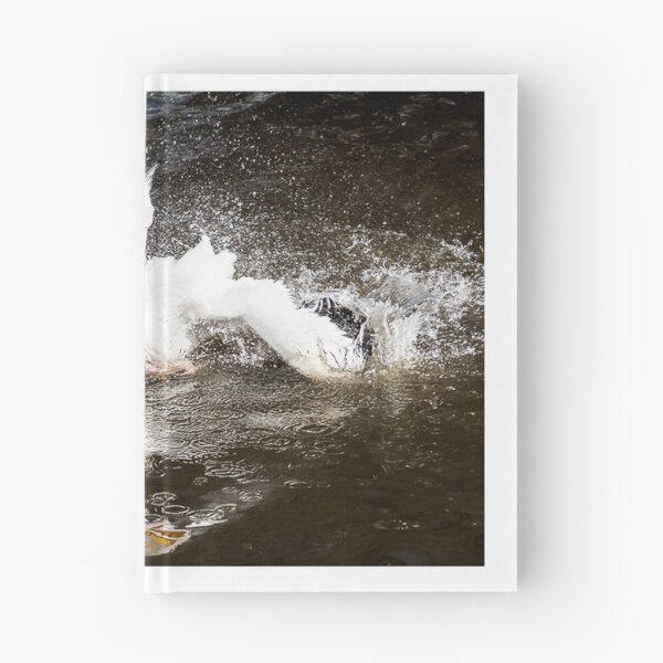 Item preview, white pelican splashing in water designed and sold by Sillygirl101.