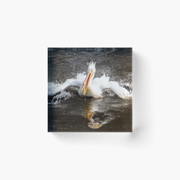 Item preview, white pelican splashing in water designed and sold by Sillygirl101.