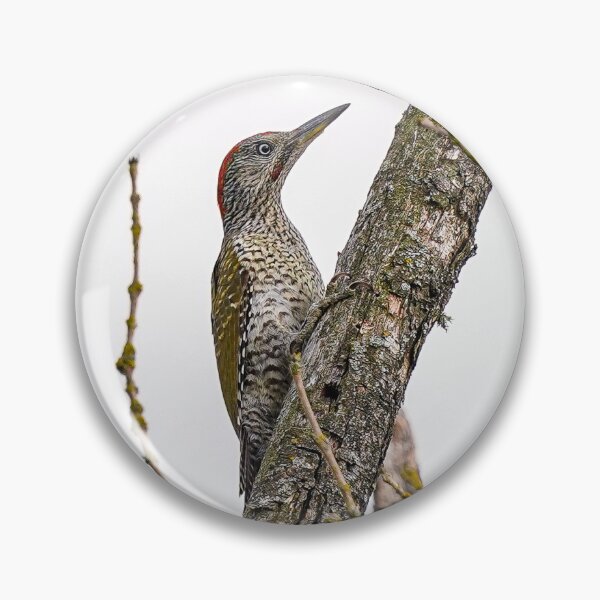 Item preview, Green woodpecker perched on a tree designed and sold by bladeuktm.