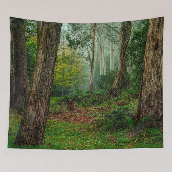 Item preview, In The Mist - Mount Wilson and Mount Irvine designed and sold by Salieri1627.