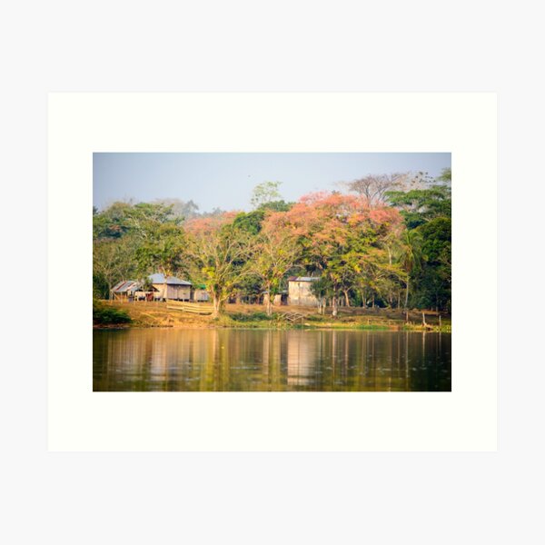 Aperçu de l'œuvre Arbres colorés sur le Rio San Juan créée et vendue par raymona pooler.