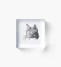 Cat Acrylic Block