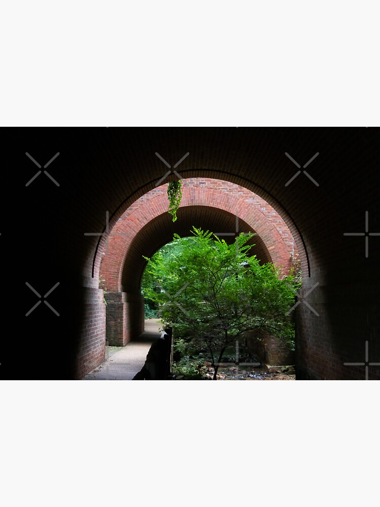 "Tree in a Tunnel Williamsburg, Virginia" Sticker for Sale by