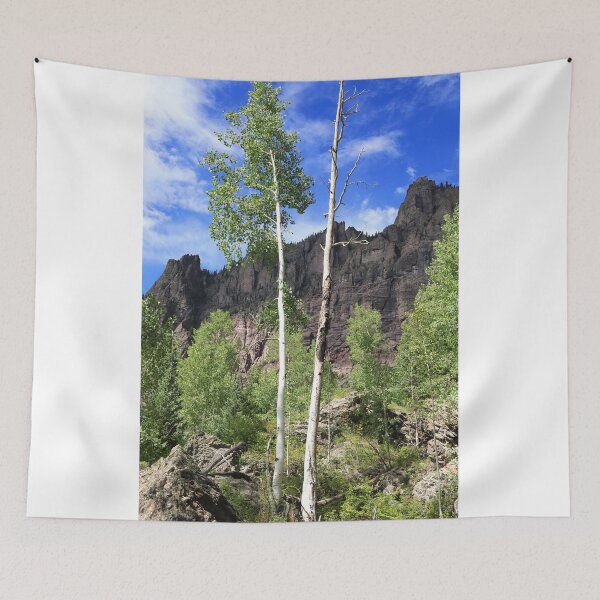 Item preview, Two aspens designed and sold by zumi.